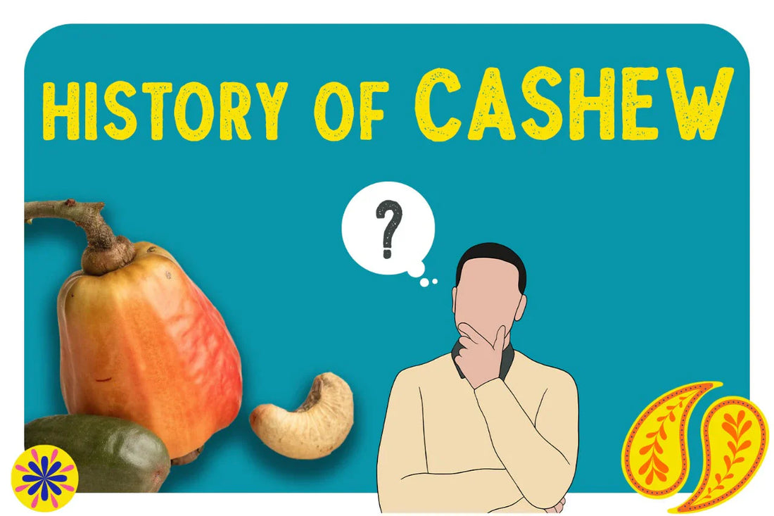 History of Cashew : From Brazil to India